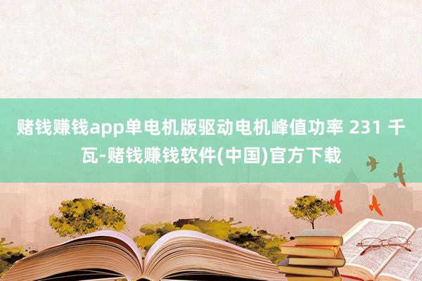 赌钱赚钱app单电机版驱动电机峰值功率 231 千瓦-赌钱赚钱软件(中国)官方下载