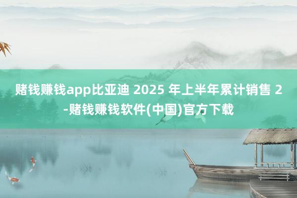 赌钱赚钱app比亚迪 2025 年上半年累计销售 2-赌钱赚钱软件(中国)官方下载