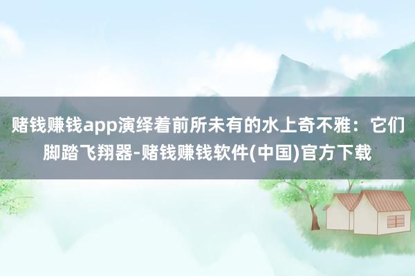 赌钱赚钱app演绎着前所未有的水上奇不雅：它们脚踏飞翔器-赌钱赚钱软件(中国)官方下载