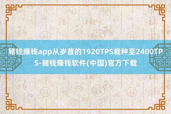赌钱赚钱app从岁首的1920TPS栽种至2400TPS-赌钱赚钱软件(中国)官方下载