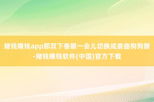 赌钱赚钱app那双下垂眼一会儿切换成委曲狗狗眼-赌钱赚钱软件(中国)官方下载