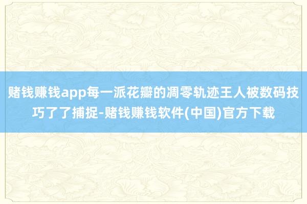 赌钱赚钱app每一派花瓣的凋零轨迹王人被数码技巧了了捕捉-赌钱赚钱软件(中国)官方下载