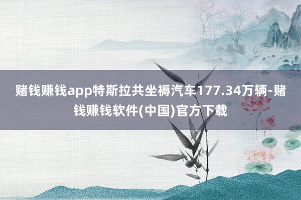 赌钱赚钱app特斯拉共坐褥汽车177.34万辆-赌钱赚钱软件(中国)官方下载